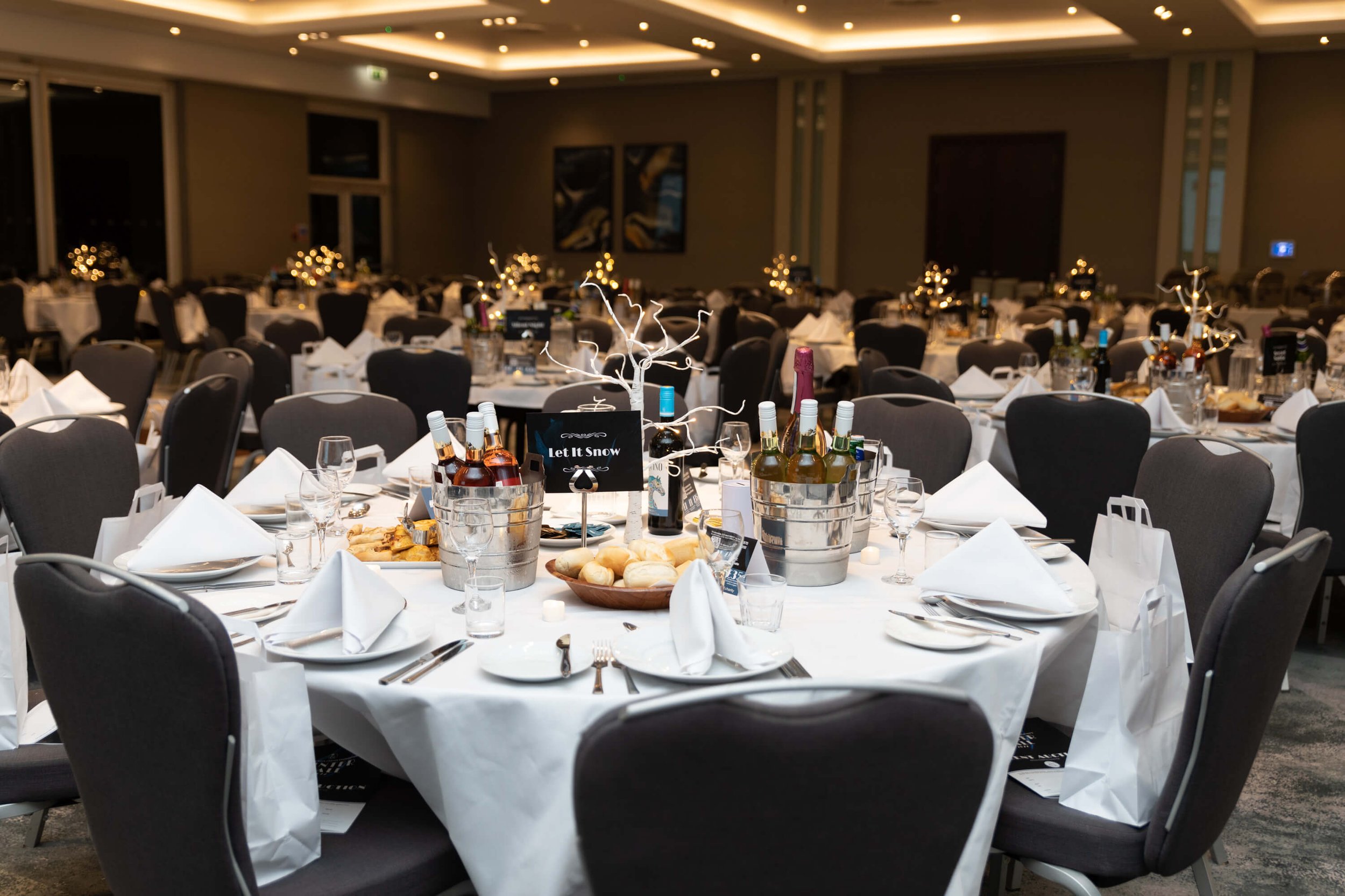 2022 HNCF Winter Ball - 023.jpg